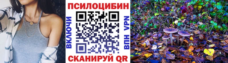 гидра маркетплейс  закладки  Арск  Галлюциногенные грибы Psilocybine cubensis 